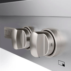 ZLINE - 30 in. Paramount Gas Rangetop with 4 Brass Burners and Porcelain Cooktop in Stainless Steel