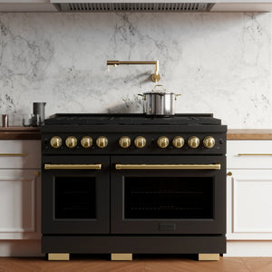 ZLINE - Autograph Edition 48 in. 6.7 cu. ft. Paramount Double Oven Dual Fuel Range with 8 Burner Gas Cooktop in Black Stainless Steel and Polished Gold Accents