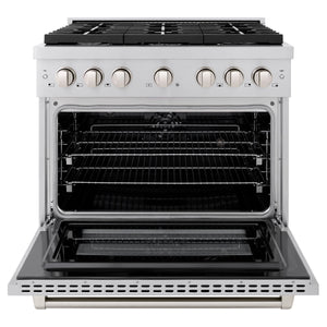 ZLINE - 36 in. 5.2 cu. ft. Paramount Dual Fuel Range with Gas Cooktop and Electric Convection Oven in Stainless Steel with 6 Brass Burners