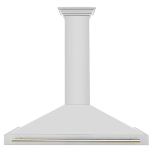 ZLINE - 48 in. Autograph Edition Convertible Stainless Steel Range Hood with Stainless Steel Shell and Polished Polished Gold Accents (KB4STZ-48-G)