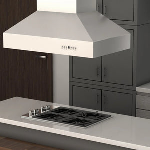 ZLINE - 48" Ducted Island Mount Range Hood in Outdoor Approved Stainless Steel (697i-304-48)