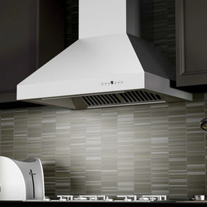 ZLINE - 36" Outdoor Ducted Wall Mount Range Hood in Outdoor Approved Stainless Steel (667-304-36)