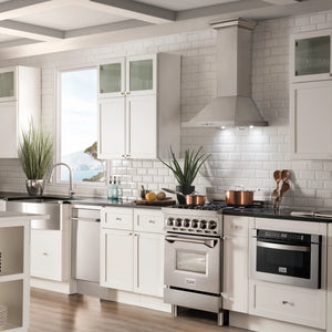 ZLINE 24" 2.8 cu. ft. Dual Fuel Range with Gas Stove and Electric Oven in Stainless Steel with Brass Burners (RA-BR-24)