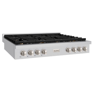 ZLINE - 48 in. Paramount Gas Rangetop with 8 Brass Burners and Porcelain Cooktop in Stainless Steel