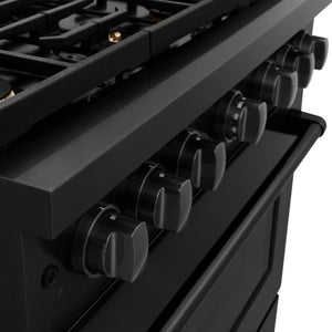 ZLINE - 36 in. 5.2 cu. ft. Paramount Dual Fuel Range with Gas Cooktop and Electric Convection Oven in Black Stainless Steel with 6 Brass Burners