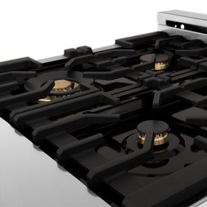 ZLINE 24" 2.8 cu. ft. Dual Fuel Range with Gas Stove and Electric Oven in Stainless Steel with Brass Burners (RA-BR-24)