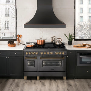 ZLINE 48" Autograph Edition Kitchen Package, Black Stainless Steel Dual Fuel Range, Range Hood, Dishwasher, Refrigeration, Champagne Bronze Accents