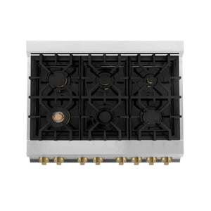 ZLINE - 36" Autograph Edition Kitchen Package with Stainless Steel Dual Fuel Range, Range Hood and Dishwasher with Champagne Bronze Accents