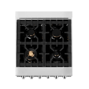 ZLINE 24" 2.8 cu. ft. Dual Fuel Range with Gas Stove and Electric Oven in Stainless Steel with Brass Burners (RA-BR-24)