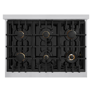 ZLINE - 36 in. 5.2 cu. ft. Select Gas Range with Convection Gas Oven in Stainless Steel with 6 Brass Burners (HGR-BR-36)