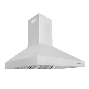 ZLINE - 42" Ducted Wall Mount Range Hood in Outdoor Approved Stainless Steel (697-304-42)