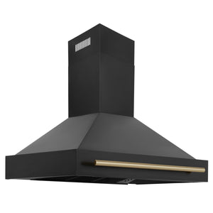 ZLINE 48" Autograph Edition Kitchen Package, Black Stainless Steel Dual Fuel Range, Range Hood, Dishwasher, Refrigeration, Champagne Bronze Accents