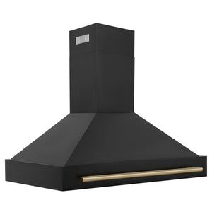ZLINE 48" Autograph Edition Kitchen Package, Black Stainless Steel Dual Fuel Range, Range Hood, Dishwasher, Refrigeration, Champagne Bronze Accents