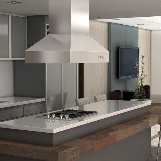 ZLINE - 48&quot; Ducted Island Mount Range Hood in Outdoor Approved Stainless Steel (697i-304-48)