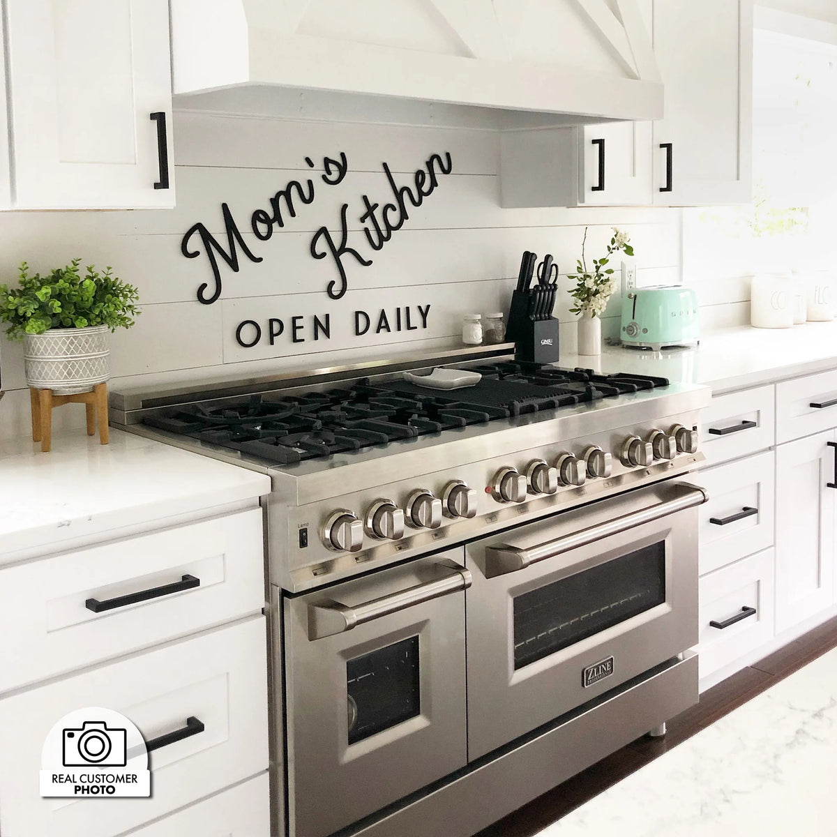 ZLINE - 46&quot; Ducted Wall Mount Range Hood Insert in Stainless Steel (698-46)