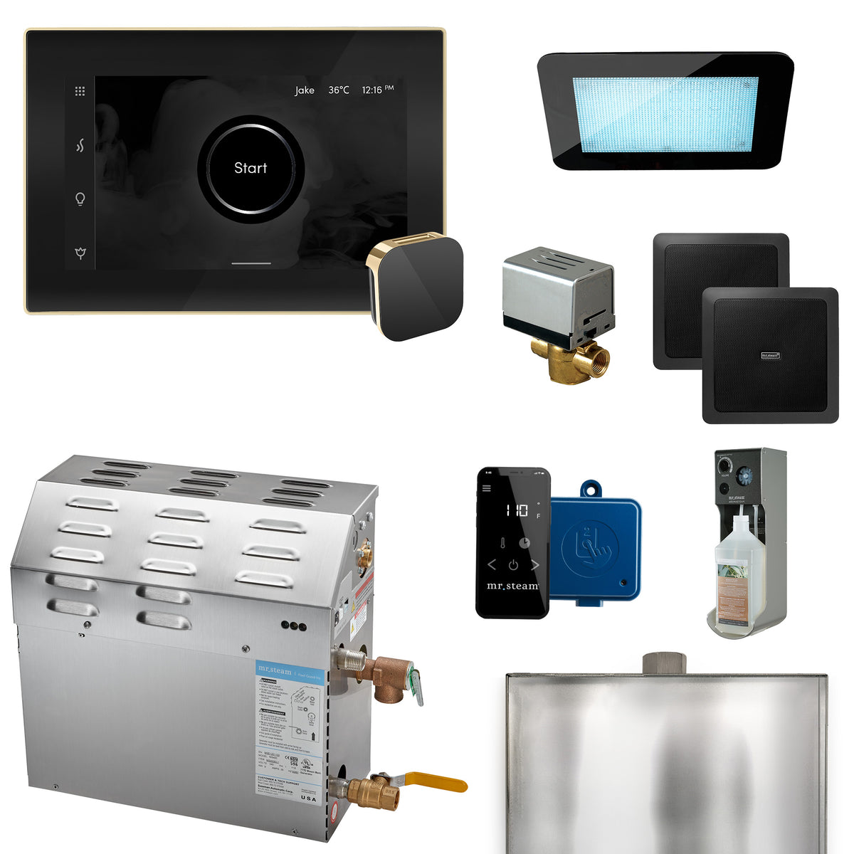 MrSteam - MS (XDream) 5000-Watt Steam Generator with iSteamX Control and Aroma Glass Steamhead in Black Polished Brass