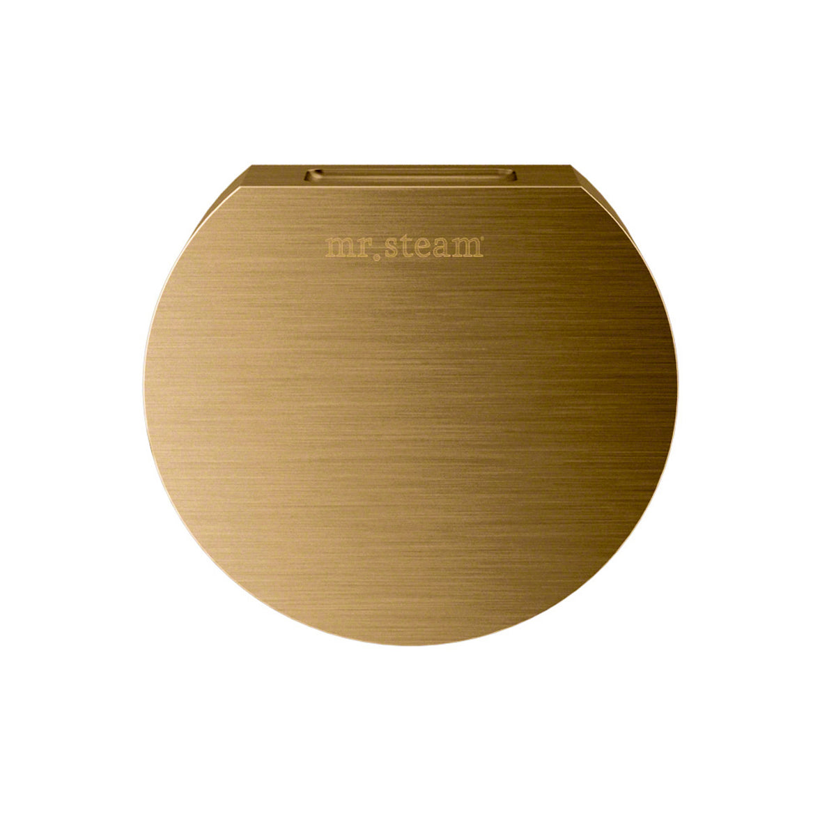 MrSteam - Aroma Designer 3 in. W. Steamhead with AromaTherapy Reservoir in Round Brushed Bronze