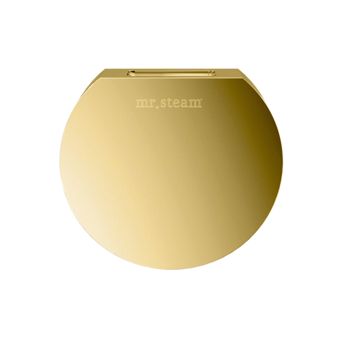 MrSteam - Aroma Designer 3 in. W. Steamhead with AromaTherapy Reservoir in Round Polished Brass