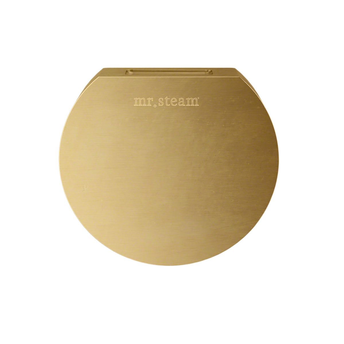 MrSteam - Aroma Designer 3 in. W. Steamhead with AromaTherapy Reservoir in Round Satin Brass