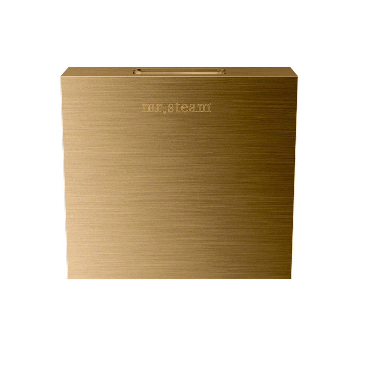MrSteam - Aroma Designer 3 in. W. Steamhead with AromaTherapy Reservoir in Square Brushed Bronze