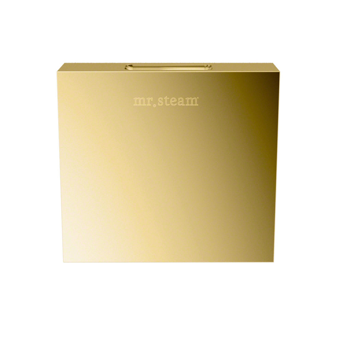 MrSteam - Aroma Designer 3 in. W. Steamhead with AromaTherapy Reservoir in Square Polished Brass