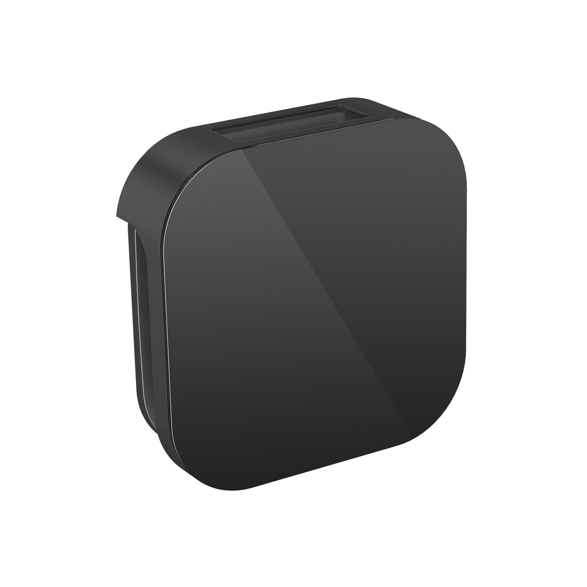 MrSteam - Aroma Glass 3 in. W. Steamhead with AromaTherapy Reservoir in Black Matte Black