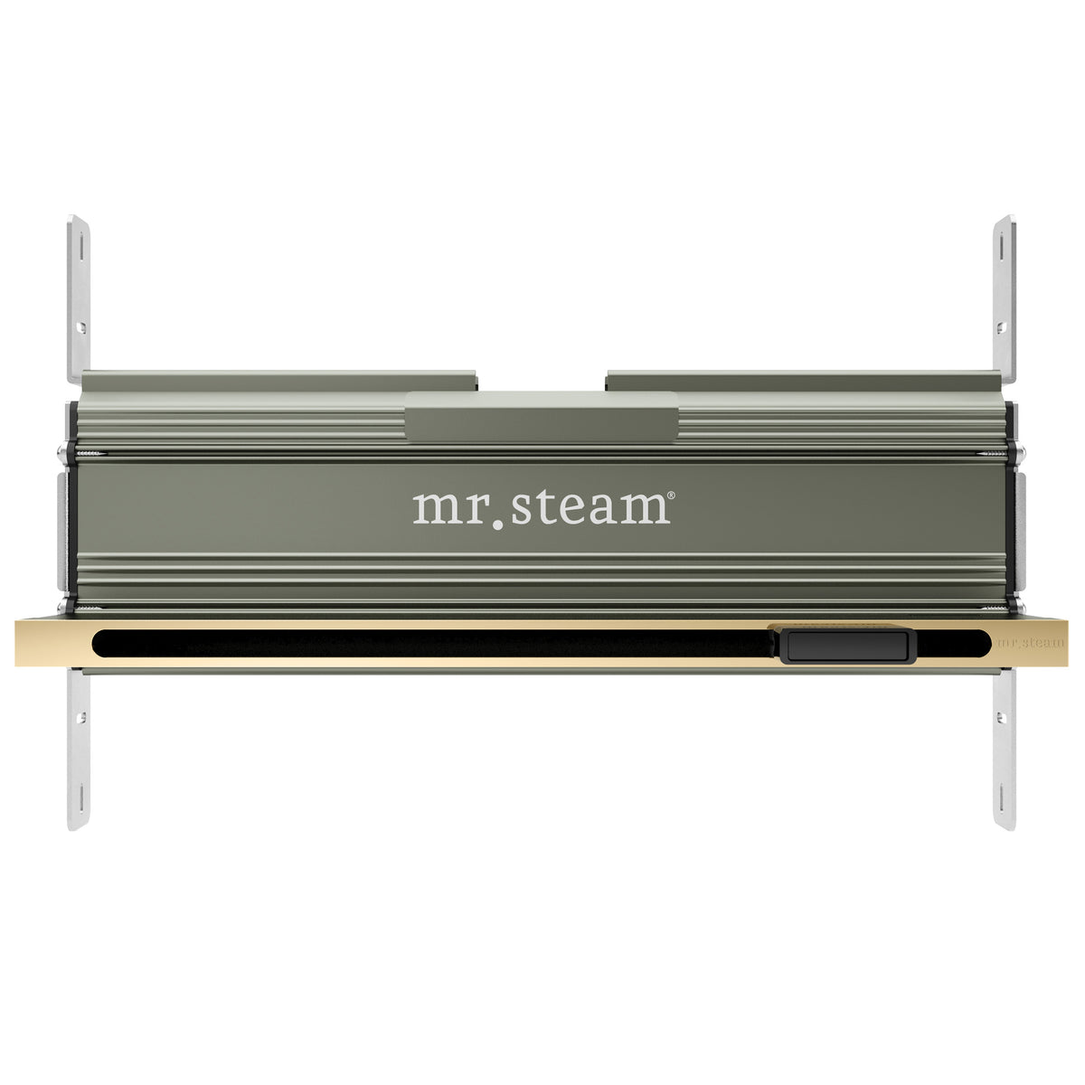 MrSteam - Linear 16 in. W. Steamhead with AromaTherapy Reservoir in Polished Brass