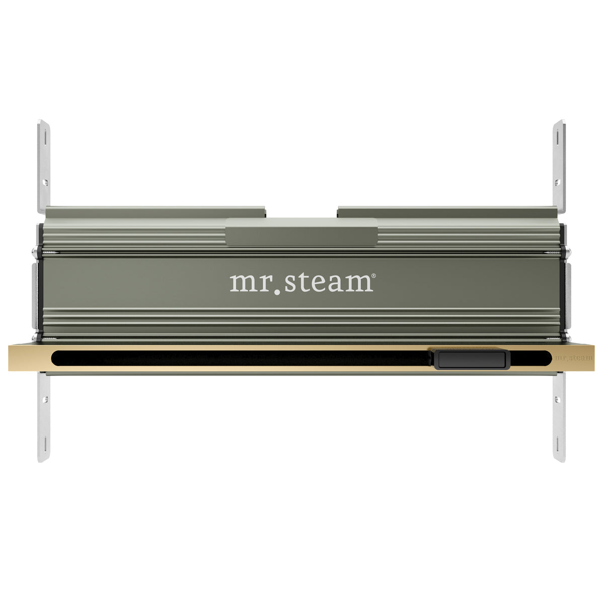 MrSteam - Linear 16 in. W. Steamhead with AromaTherapy Reservoir in Satin Brass