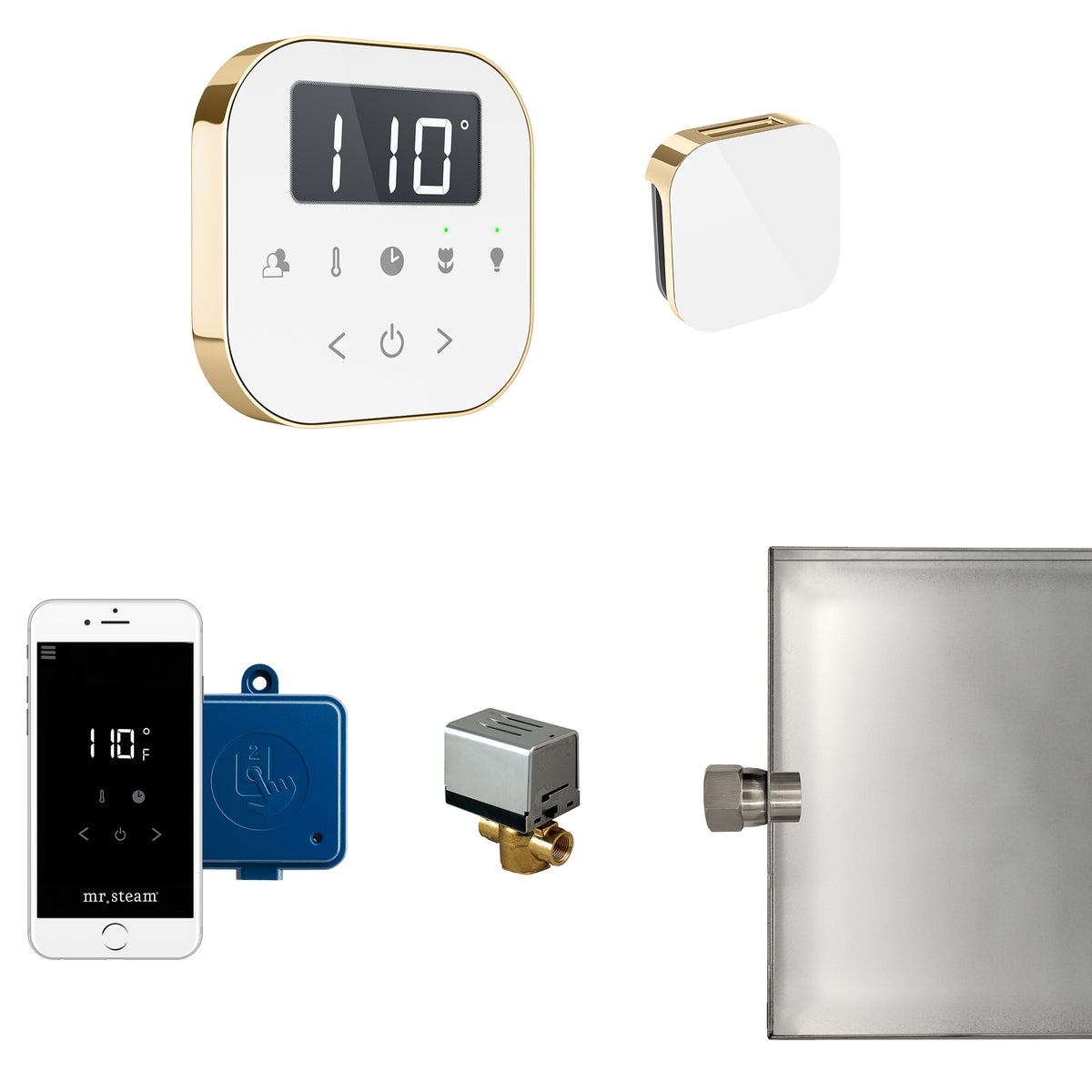MrSteam - AirButler Steam Shower Control Package with AirTempo Control and Aroma Glass SteamHead in White Polished Brass