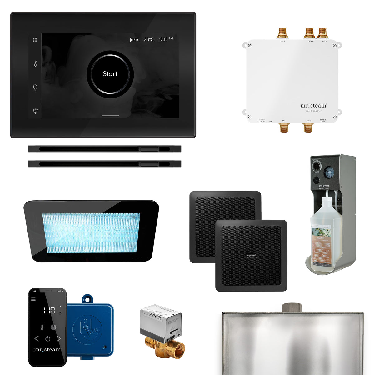 MrSteam - Bliss Max Linear Programmable Steam Generator Control Kit with iSteamX Control and Linear Steamhead in Black Matte Black