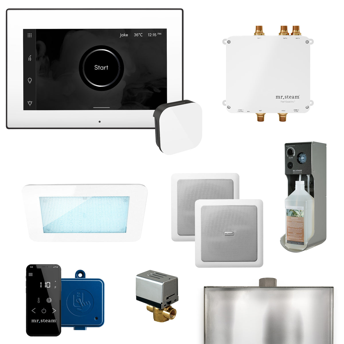 MrSteam - Bliss Programmable Steam Generator Control Kit with iSteamX Control and Aroma Glass Steamhead in White Matte Black