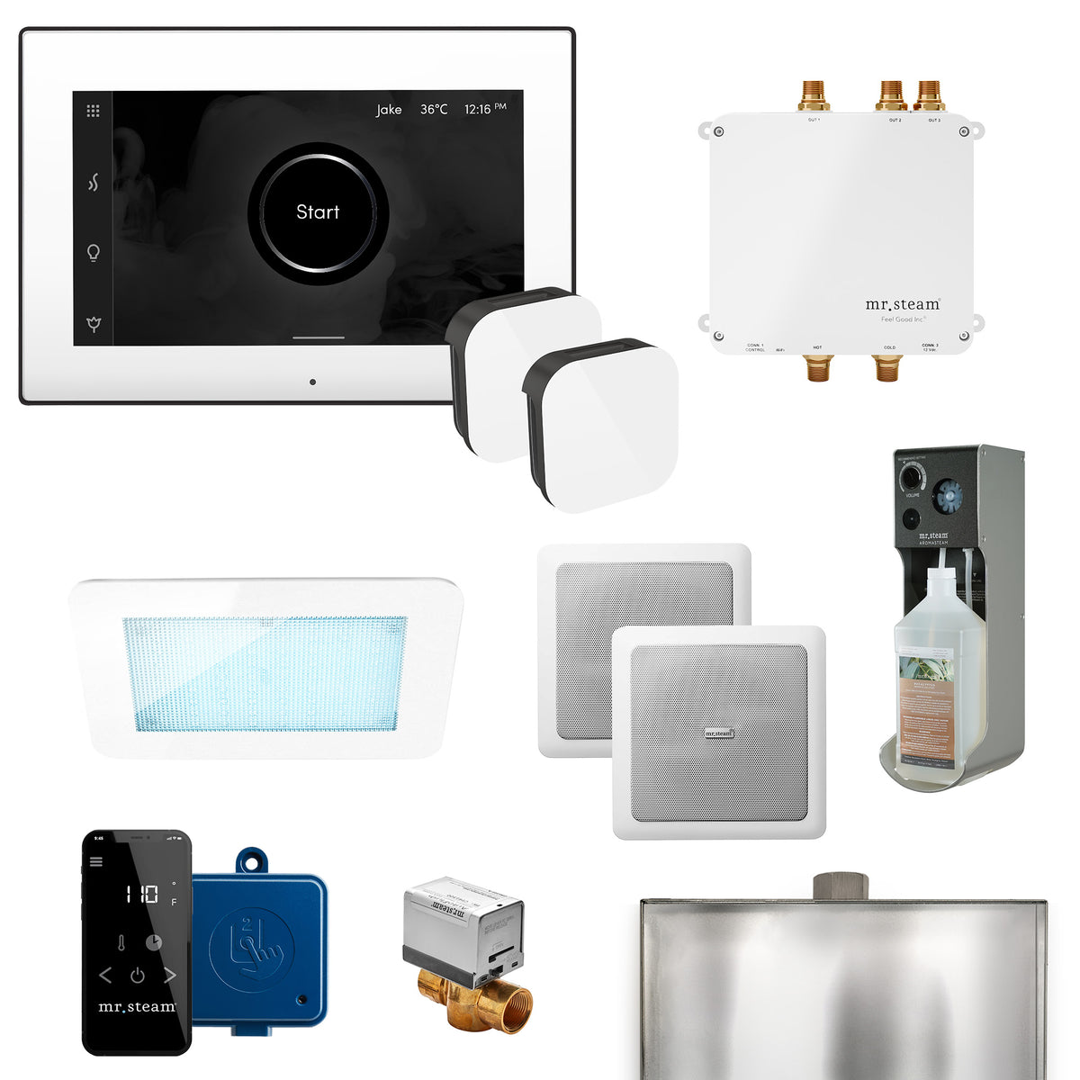 MrSteam - Bliss Max Programmable Steam Generator Control Kit with iSteamX Control and Aroma Glass Steamhead in White Matte Black