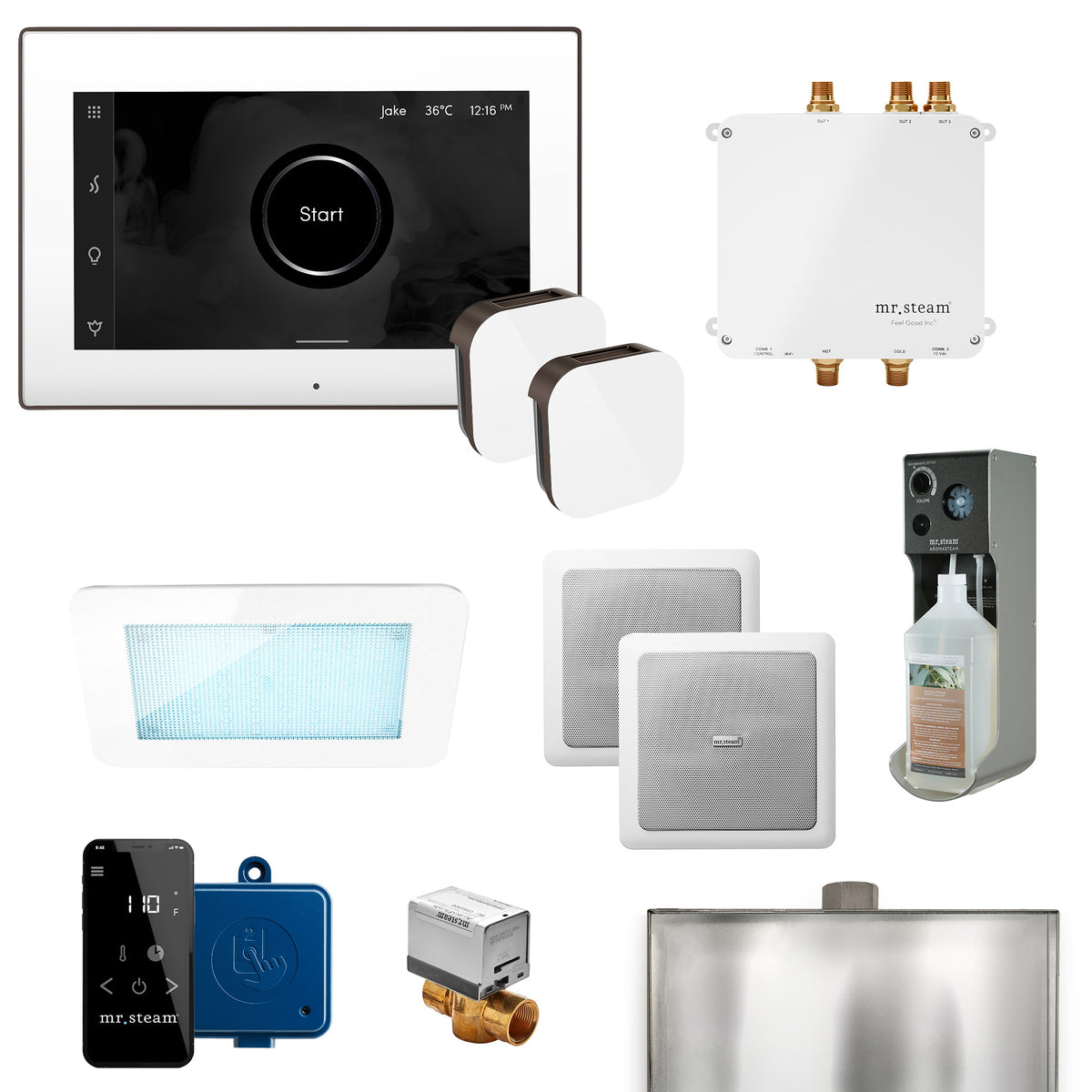 MrSteam - Bliss Max Programmable Steam Generator Control Kit with iSteamX Control and Aroma Glass Steamhead in White Oil Rubbed Bronze