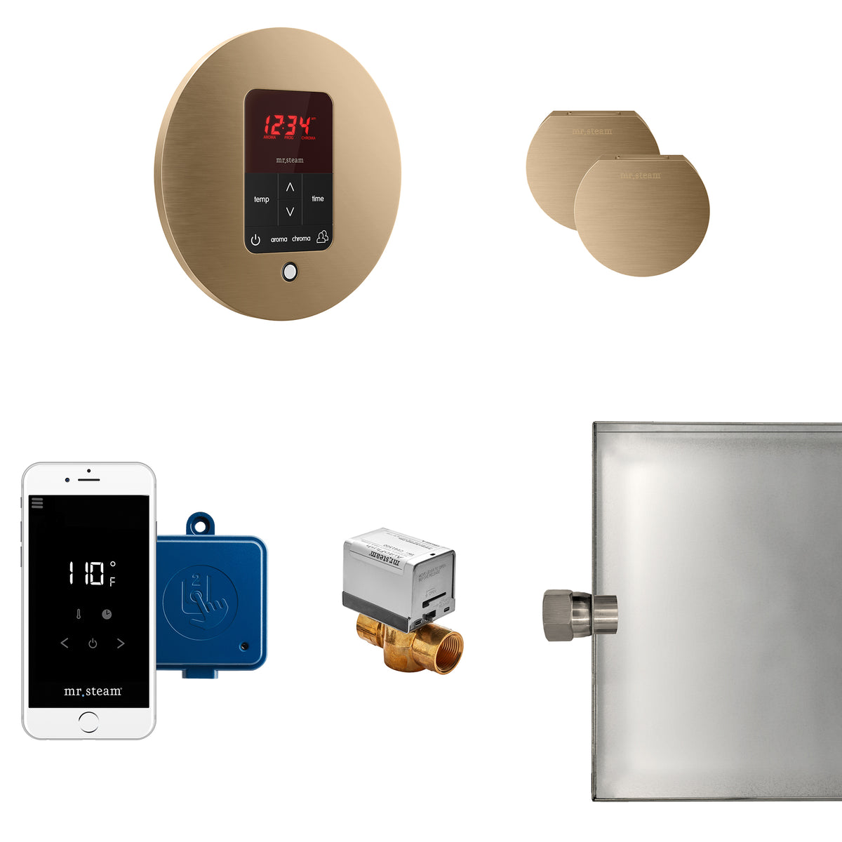 MrSteam - Butler Max Steam Shower Control Package with iTempoPlus Control and Aroma Designer SteamHead in Round Brushed Bronze