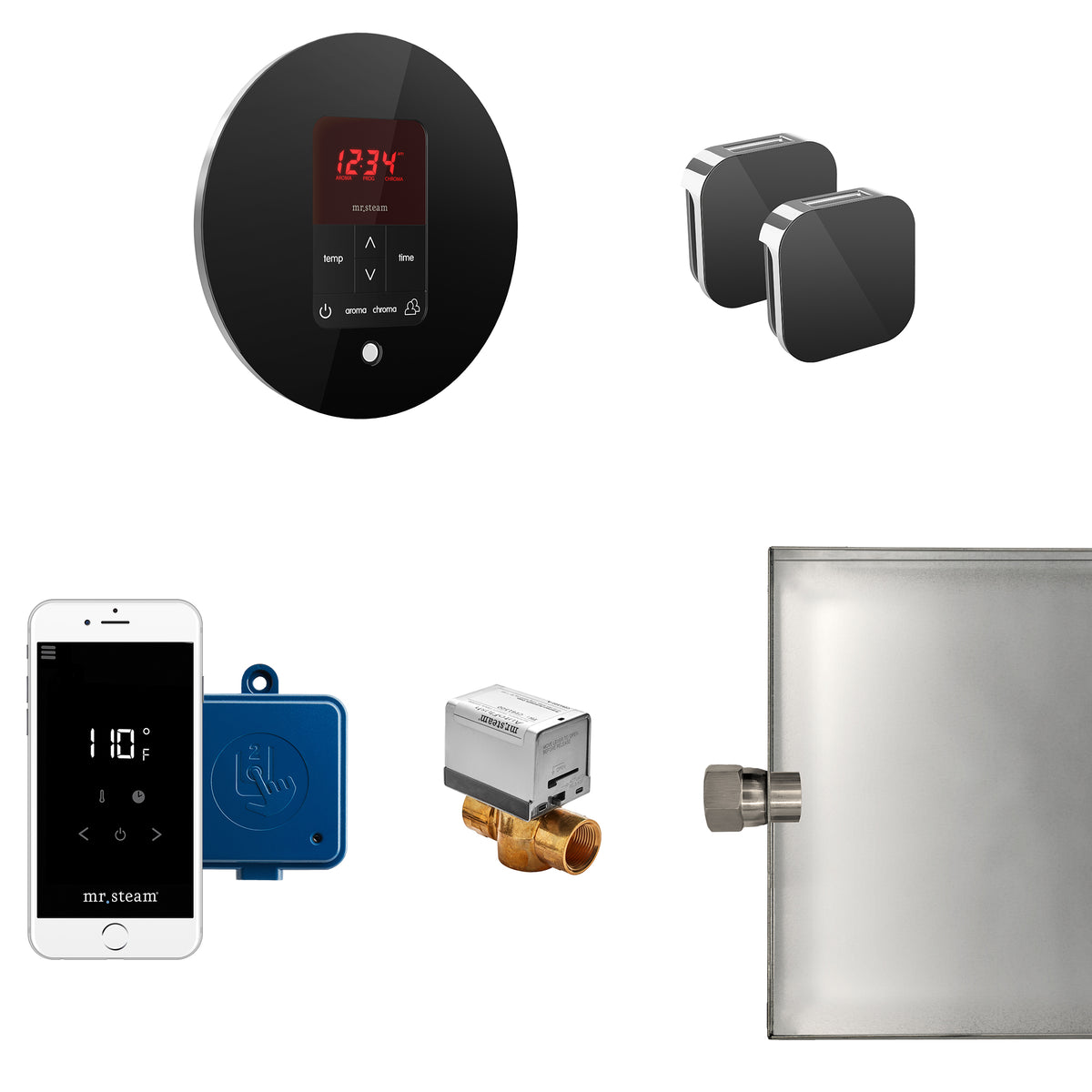 MrSteam - Butler Max Steam Shower Control Package with iTempoPlus Control and Aroma Designer SteamHead in Round Glass Black