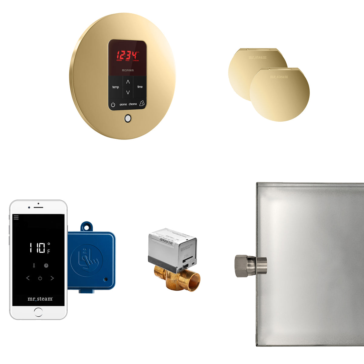 MrSteam - Butler Max Steam Shower Control Package with iTempoPlus Control and Aroma Designer SteamHead in Round Polished Brass