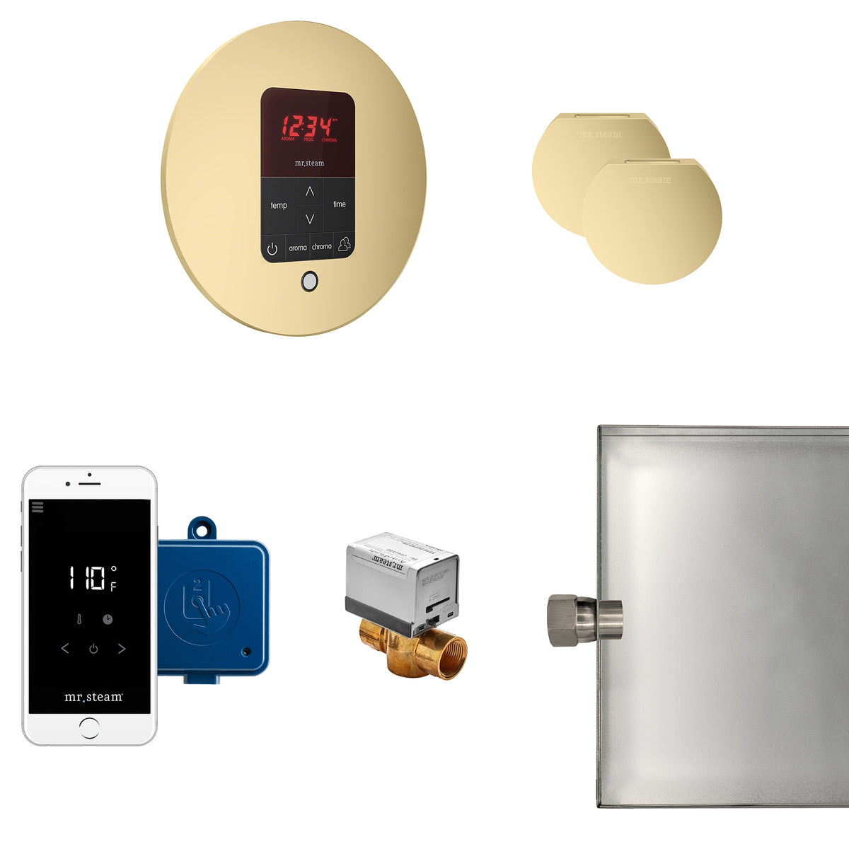 MrSteam - Butler Max Steam Shower Control Package with iTempoPlus Control and Aroma Designer SteamHead in Round Satin Brass