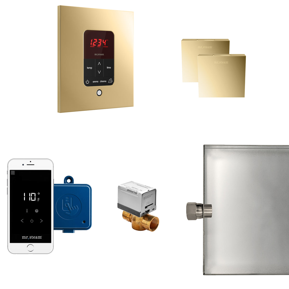 MrSteam - Butler Max Steam Shower Control Package with iTempoPlus Control and Aroma Designer SteamHead in Square Polished Brass