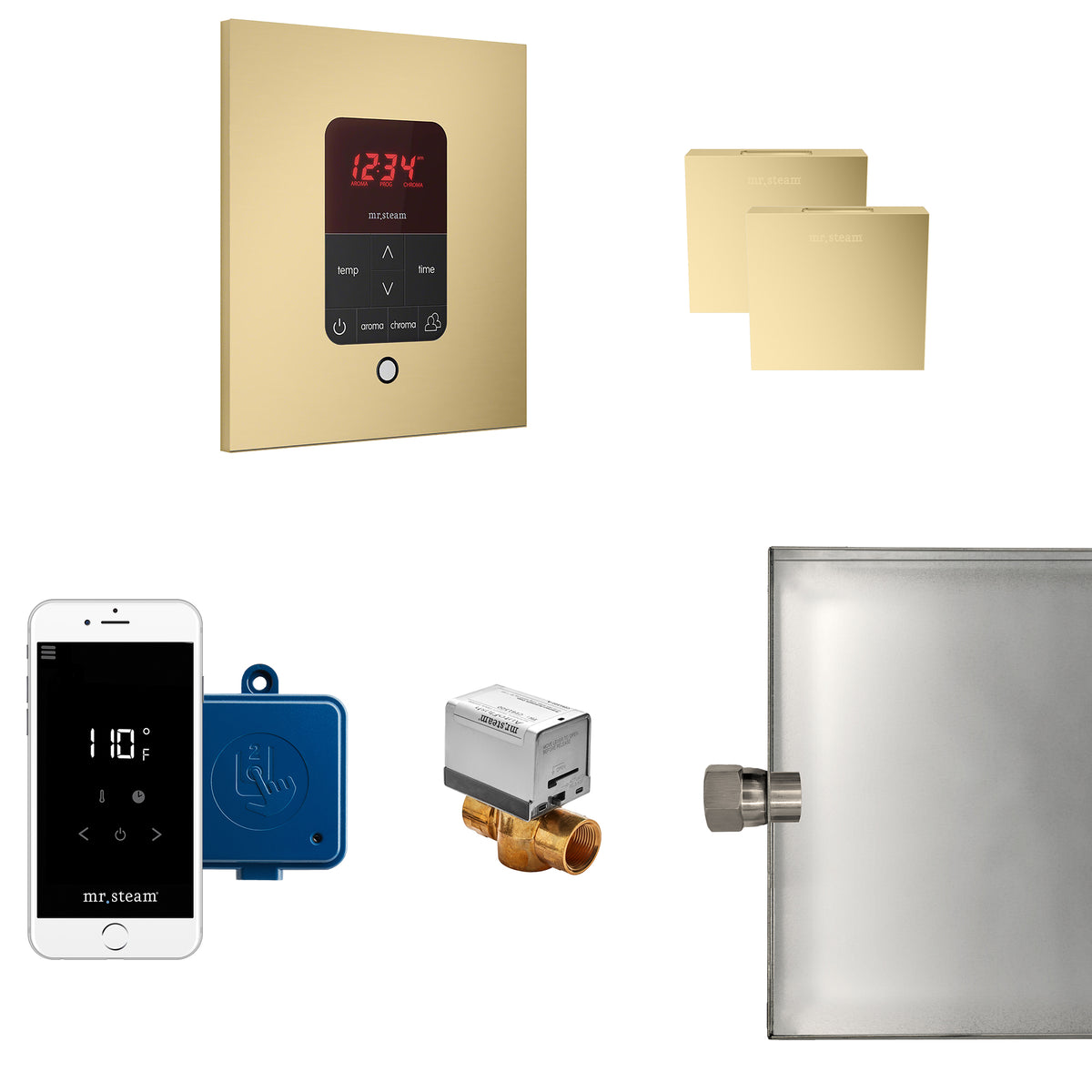 MrSteam - Butler Max Steam Shower Control Package with iTempoPlus Control and Aroma Designer SteamHead in Square Satin Brass
