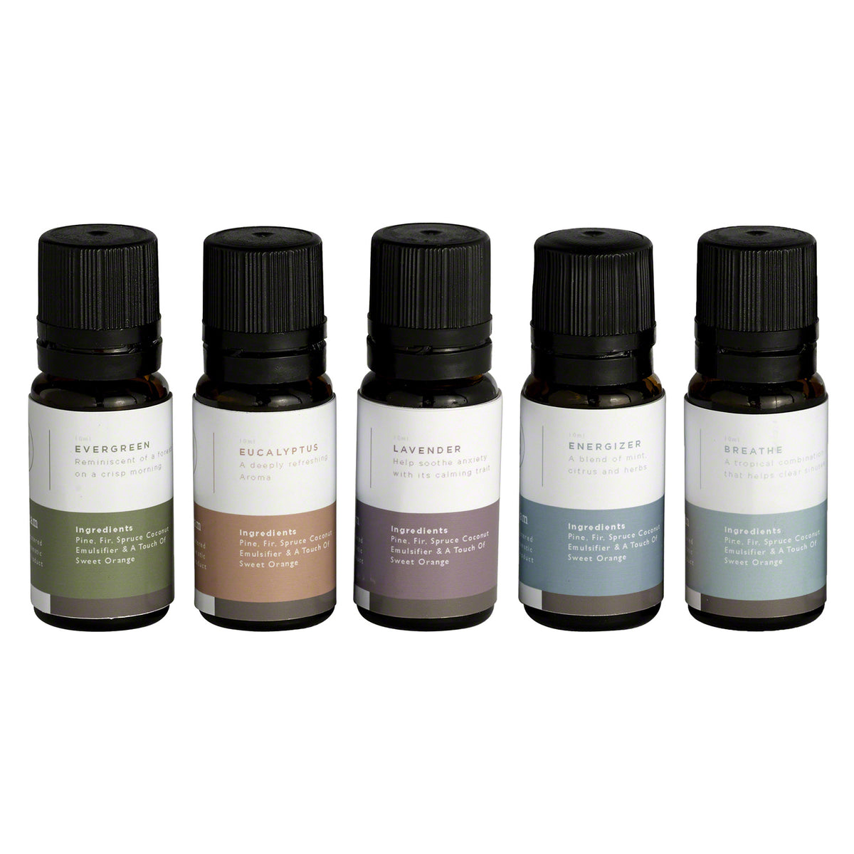 MrSteam - Multi Essential Aroma Oil Package in 10 mL Bottle