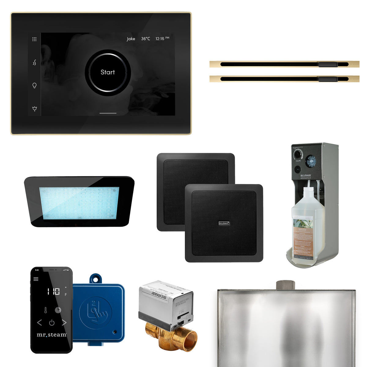 MrSteam - XDream Max Linear Programmable Steam Generator Control Kit with iSteamX Control and Linear Steamhead in Black Polished Brass